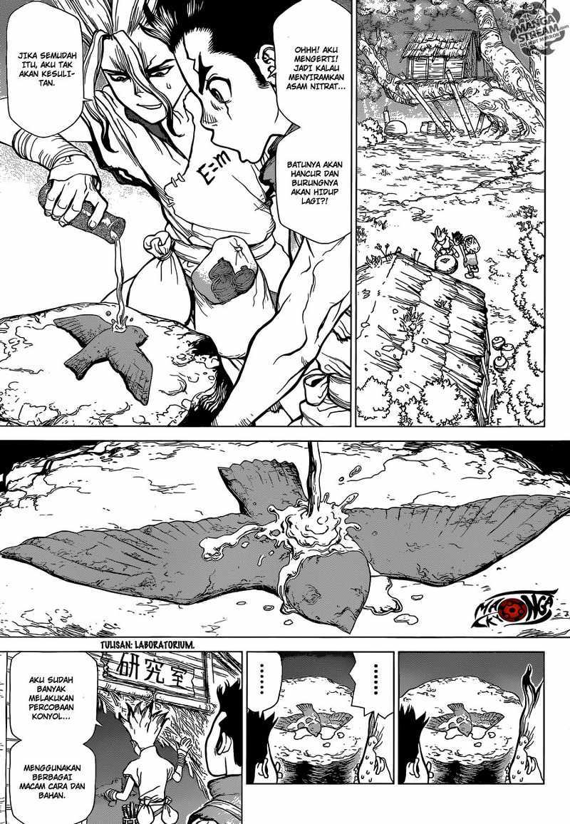 dr. stone Chapter 02