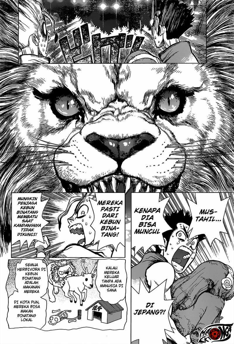 dr. stone Chapter 03