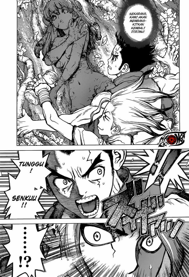 dr. stone Chapter 03